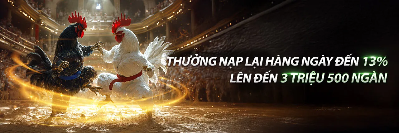 Sân đấu đá gà trực tuyến Mostbet sôi động